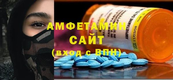 крисы Бородино