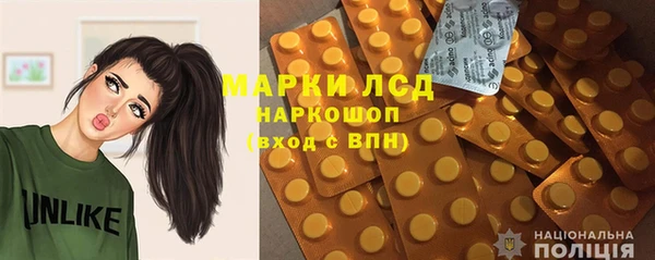 крисы Бородино
