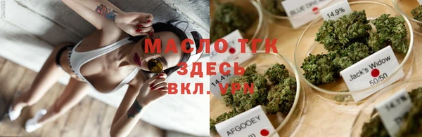 крисы Бородино