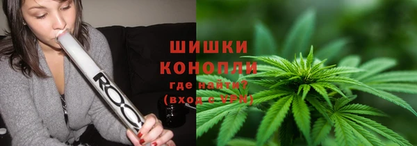 крисы Бородино