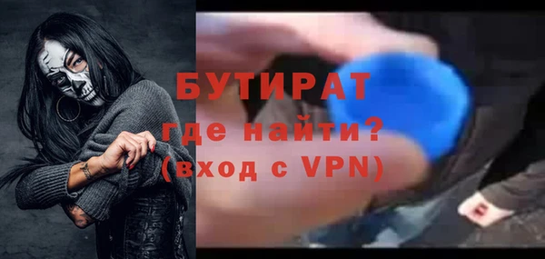 крисы Бородино