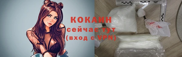 гашик Бронницы