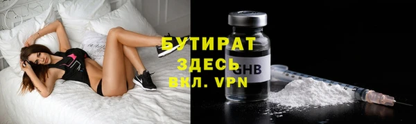 крисы Бородино