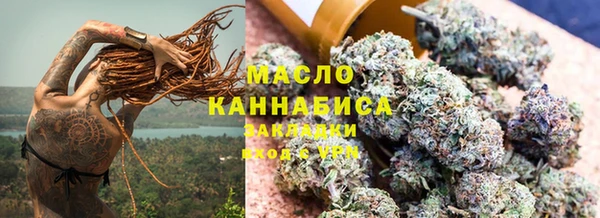 крисы Бородино