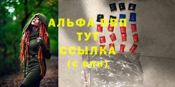 крисы Бородино
