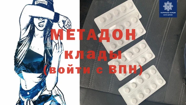 крисы Бородино