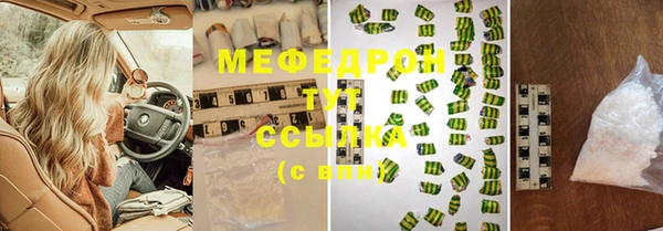 крисы Бородино