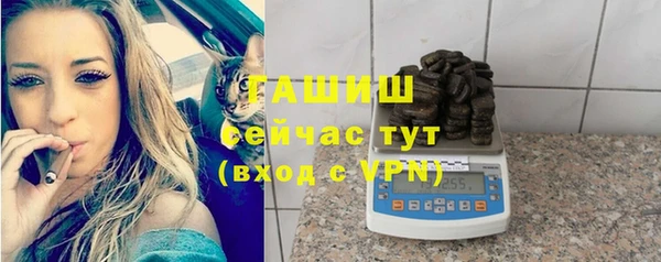 крисы Бородино