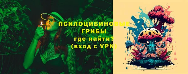 гашик Бронницы