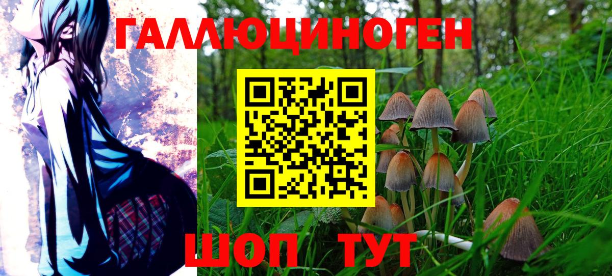 Галлюциногенные грибы ЛСД  Псилоцибиновые грибы мицелий  Вход с VPN  Бутурлиновка 
