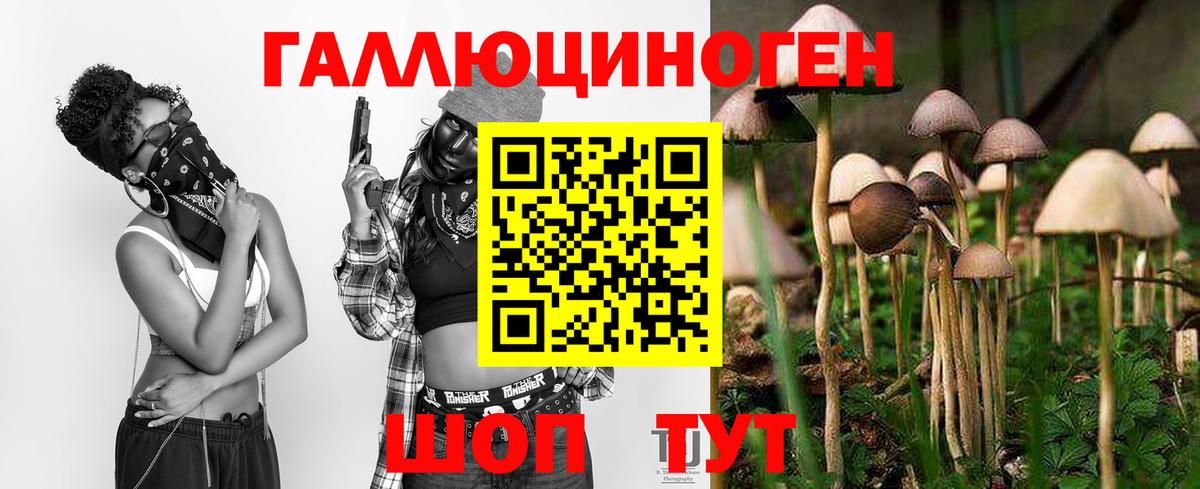 Галлюциногенные грибы мицелий Бутурлиновка